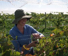 Kingsdale Wines - Hobart Tourism 0