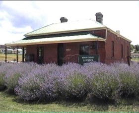 Lavender House In Railway Park - Tourism TAS 0