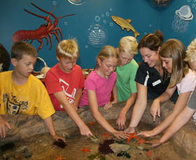 Naturaliste Marine Discovery Centre - Hobart Tourism 0
