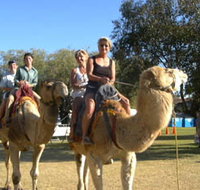 Calamunnda Camel Farm - Tourism TAS