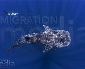 Babbage Island WA Tourism TAS