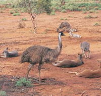 Hammond Park - Tourism TAS