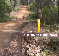 Old Timberline and Sidings Rail Trails - Tourism TAS