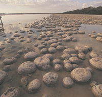 Lake Clifton Thrombolites - Tourism TAS