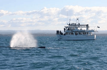 Huskisson NSW Hobart Tourism