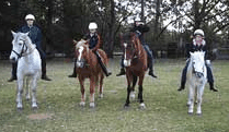 Valhalla Horse Riding - Tourism TAS 1