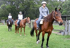 Valhalla Horse Riding - Tourism TAS 2