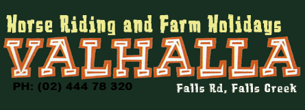 Valhalla Horse Riding - Tourism TAS 4