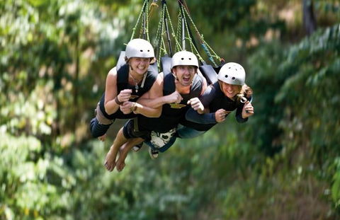 AJ Hackett Cairns - Tourism TAS 4