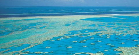 Aristocat Snorkel And Scuba Port Douglas - Tourism TAS 3