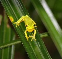 Daintree River Cruise Centre - Hobart Tourism