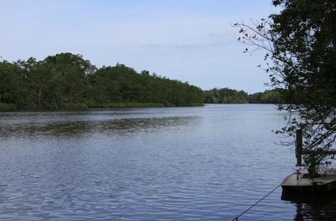 Daintree River Cruise Centre - Tourism TAS 2
