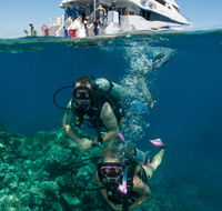 Down Under Cruise and Dive - Hobart Tourism