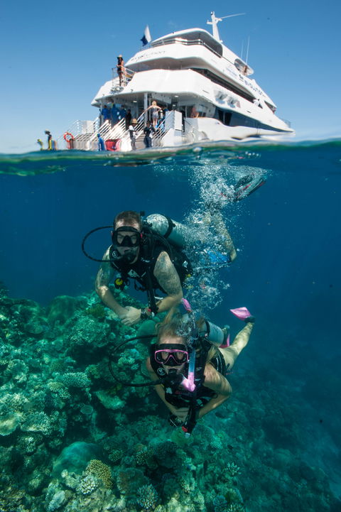 Down Under Cruise And Dive - Hobart Tourism 0