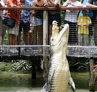 Hartley's Crocodile Adventures - Hobart Tourism