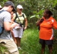 Ingan Tours - Spirit of the Rainforest Tour - Hobart Tourism