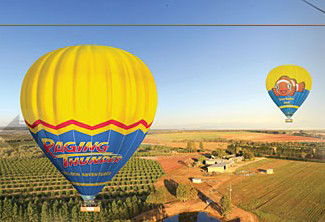 Raging Thunder Adventures - Hobart Tourism 2