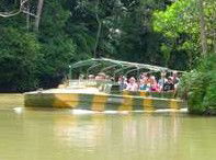 Rainforestation Nature Park - Hobart Tourism 4