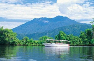 Reef And Rainforest Connections - Tourism TAS 2