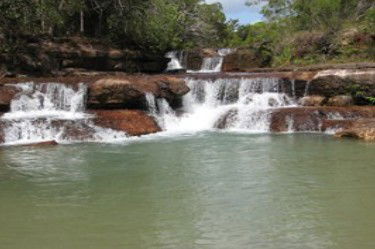 Tagalong Tours Of Australia - Tourism TAS 1