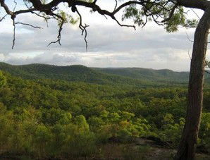 Cooktown Aboriginal Art Tours - Hobart Tourism 1