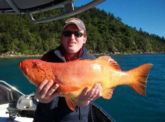 Gone Fishing By Coral Sea Fishing Charters Airlie Beach - Hobart Tourism 0