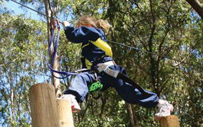 Adventure Parc - Tourism TAS 1