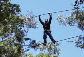 Adventure Parc - Tourism TAS 2