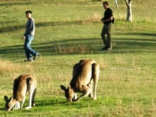 Southern Queensland Country QLD Hobart Tourism