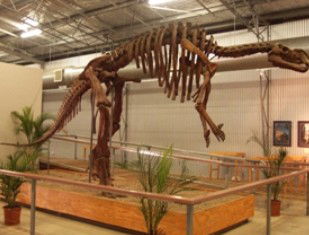Australia's Dinosaur Trail - Tourism TAS 0