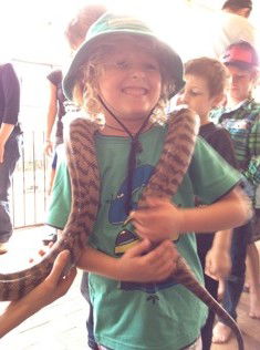 West Oz Wildlife Petting Zoos - Tourism TAS 3