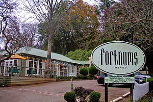  Tourism TAS