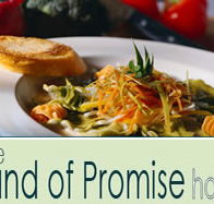 Land of Promise Hotel - Tourism TAS