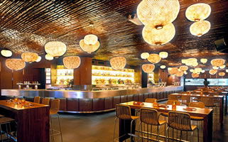 Bungalow 8 - Hobart Tourism 0