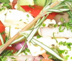 Casablanca Brasserie - Hobart Tourism 0