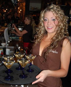 The Bath Hotel - Hobart Tourism 1