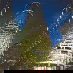 Summit - Restaurant - Tourism TAS 1