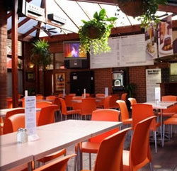Coopers Alehouse At The Earl - Hobart Tourism 3