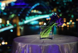 Summit - Orbit Lounge Bar - Tourism TAS 3