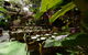 The Kent Town Hotel - thumb 7