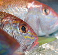 Coro Hotel - Lure Seafood Restaurant - Tourism TAS