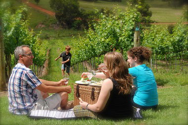 Oceanview Estate Winery / Restaurant - Hobart Tourism 7