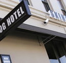 Skinny Dog Hotel - Tourism TAS