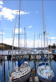  Tourism TAS