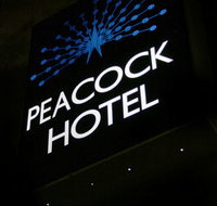 Peacock Inn Hotel - Tourism TAS