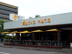 Ducks Nuts Bar & Grill - Hobart Tourism 2