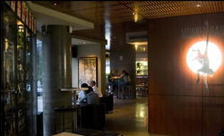 Chatswood Monkey Bar - Tourism TAS 3