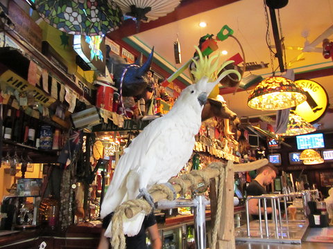 A Friend In Hand - Hobart Tourism 0