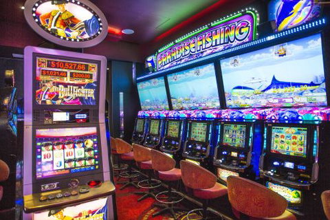 Boatshed Restaurant - Tourism TAS 4