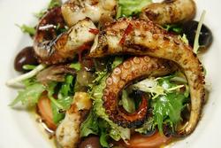 The Stage  - Tourism TAS 0